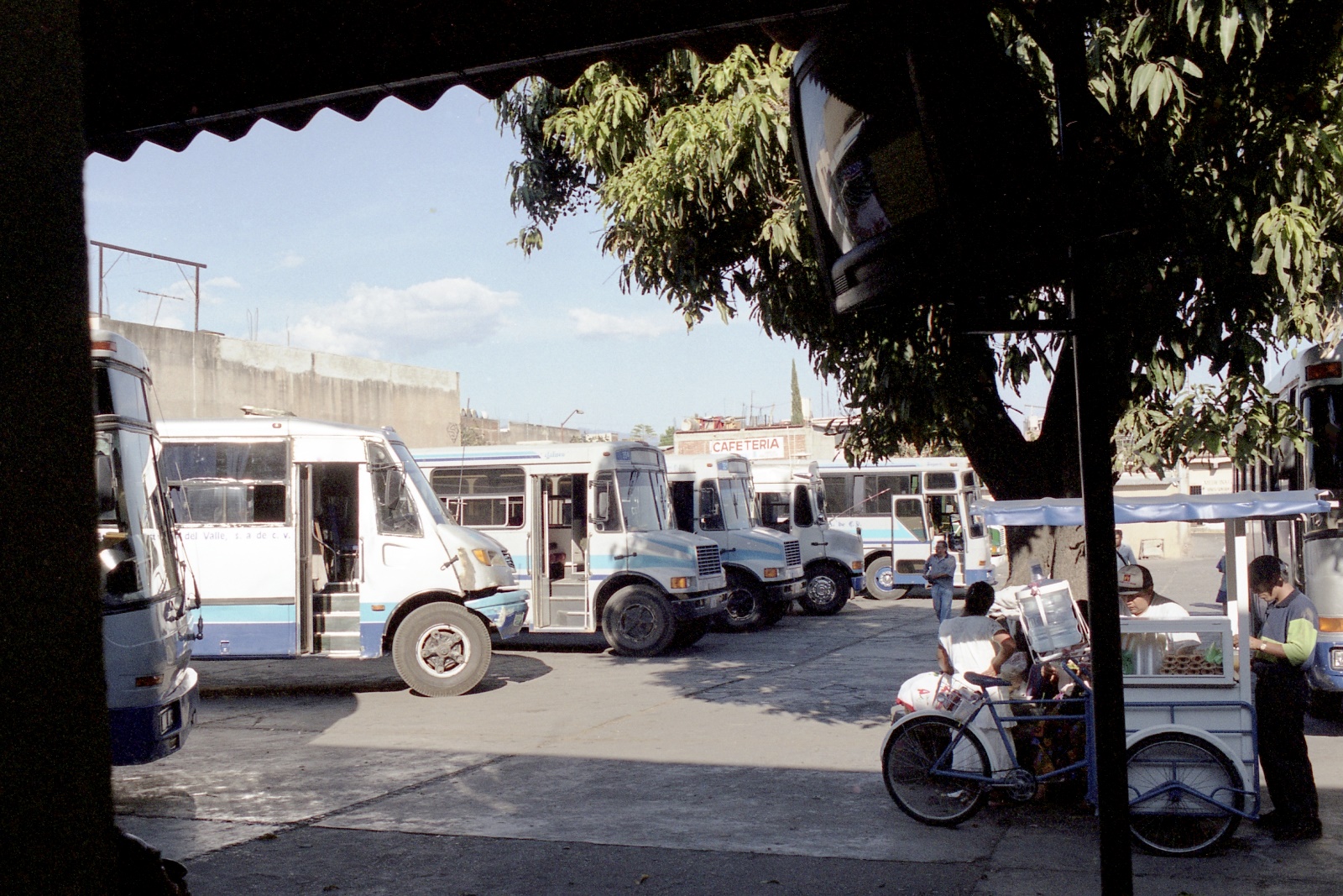 20000324 018   Oaxaca Teotitlan del Valle   Mexico Film 03 Fnr 016
